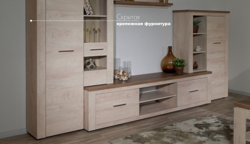 Гостиная Мэдисон (Дуб эндгрейн/Дуб экспрессив бронзовый)